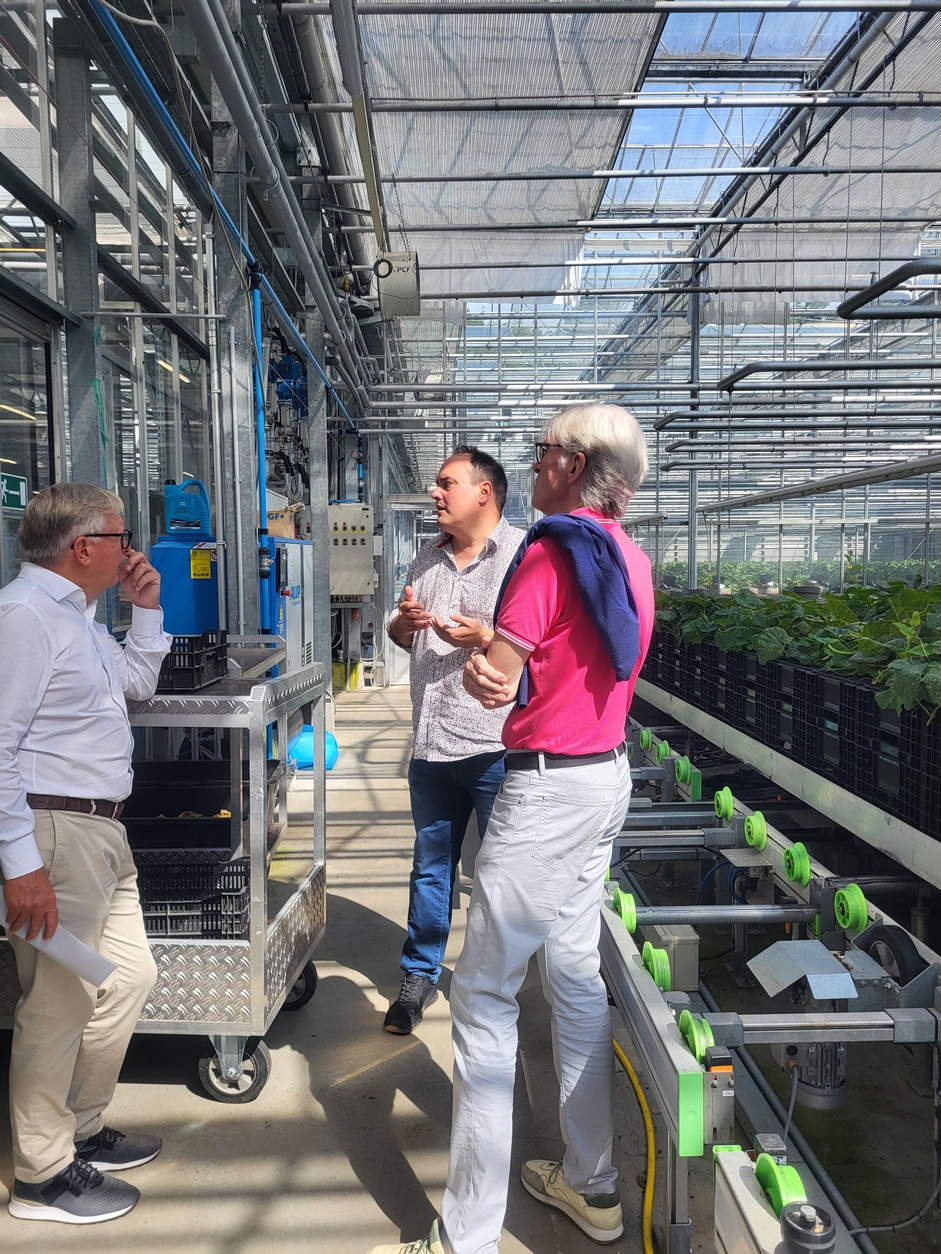 Betriebsbesuch Rosen Waibel in Mäder