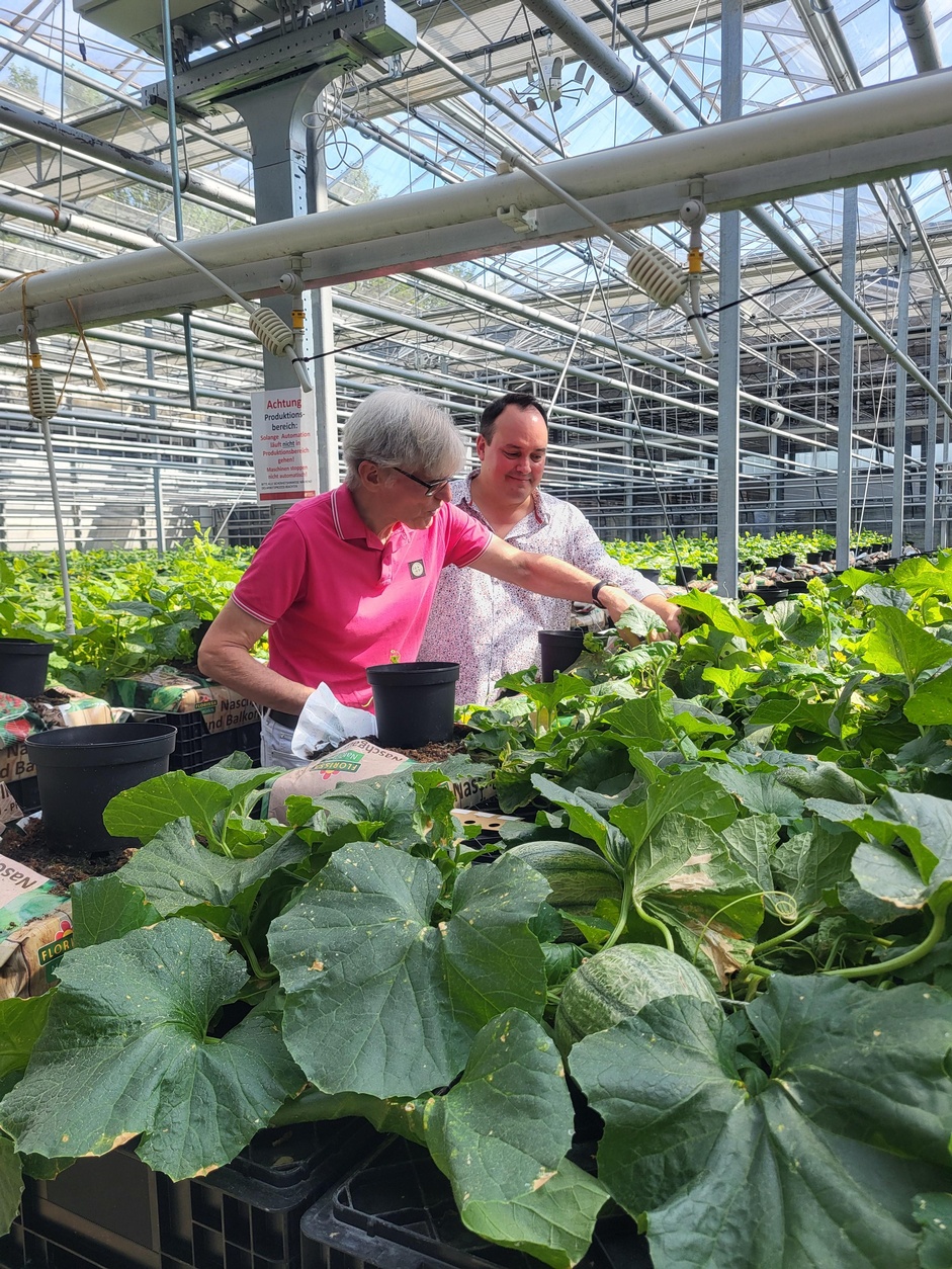 Betriebsbesuch Rosen Waibel in Mäder