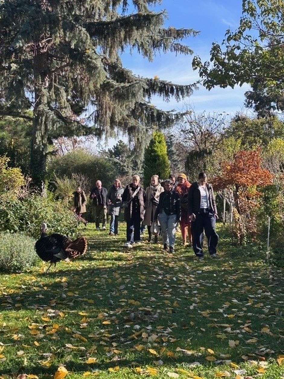 Social-Media-Workshop in Wien<br />
