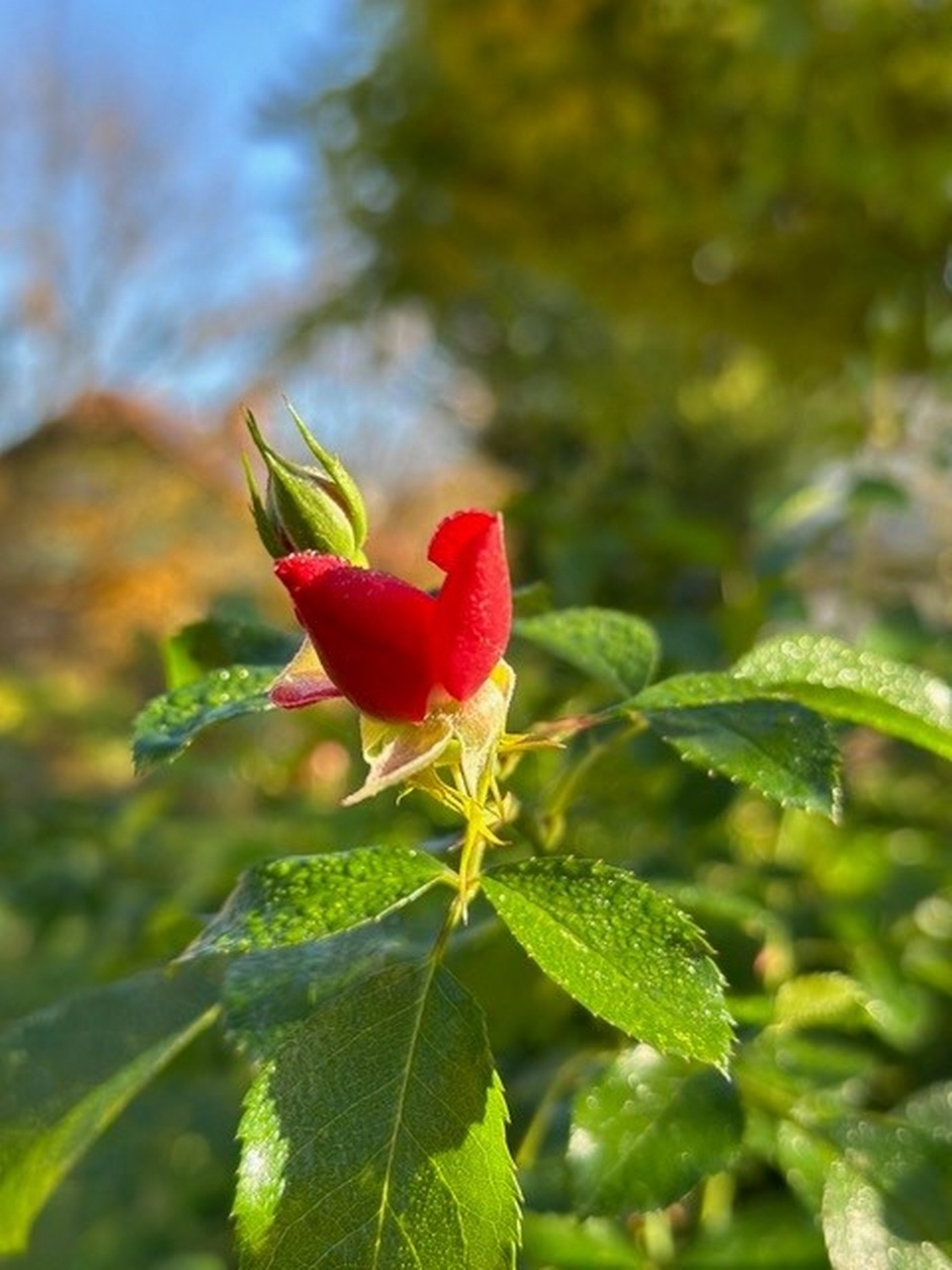 Social-Media-Workshop in Wien<br />
