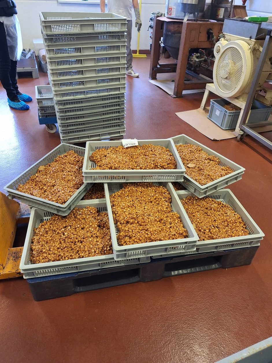 FiW goes Backstage - Heindl