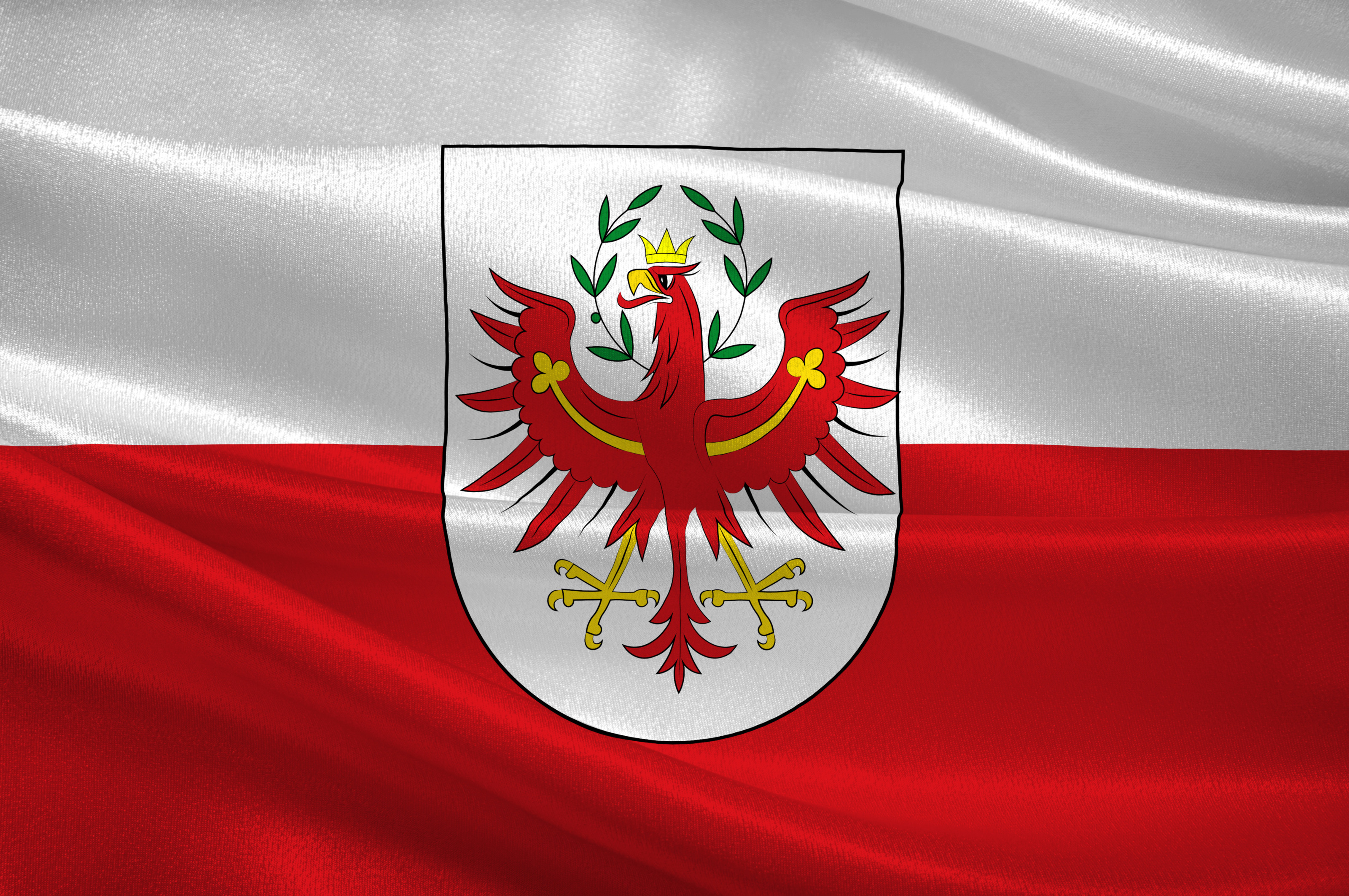 Grafik der Tiroler Flagge. Die obere H&auml;lfte ist wei&szlig;, die untere H&auml;lfte ist rot. In der Mitte ist ein Wappen mit einem roten Adler mit einer Krone