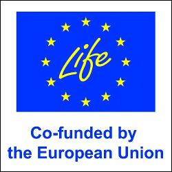Co-funded by the European Union