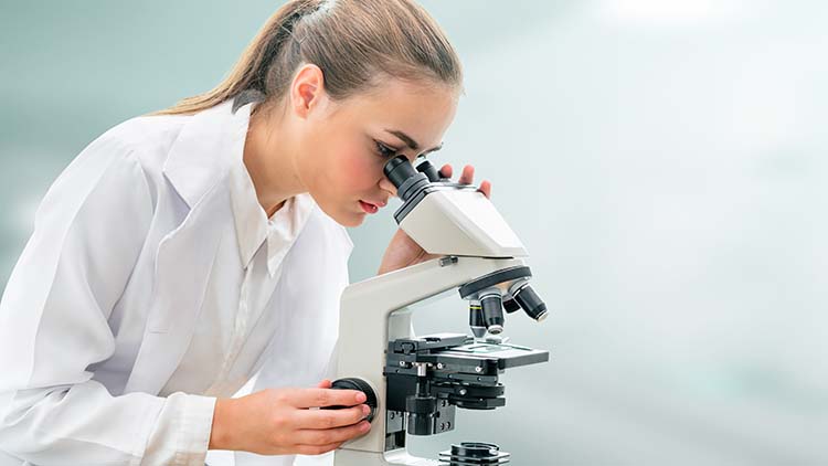 Junge Frau schaut in ein Mikroskop