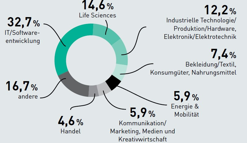 Ringdiagramm, in dem unterschiedliche Branchen und deren Prozentsatz in Bezug auf Gr&uuml;ndungen von Startups abgebildet sind