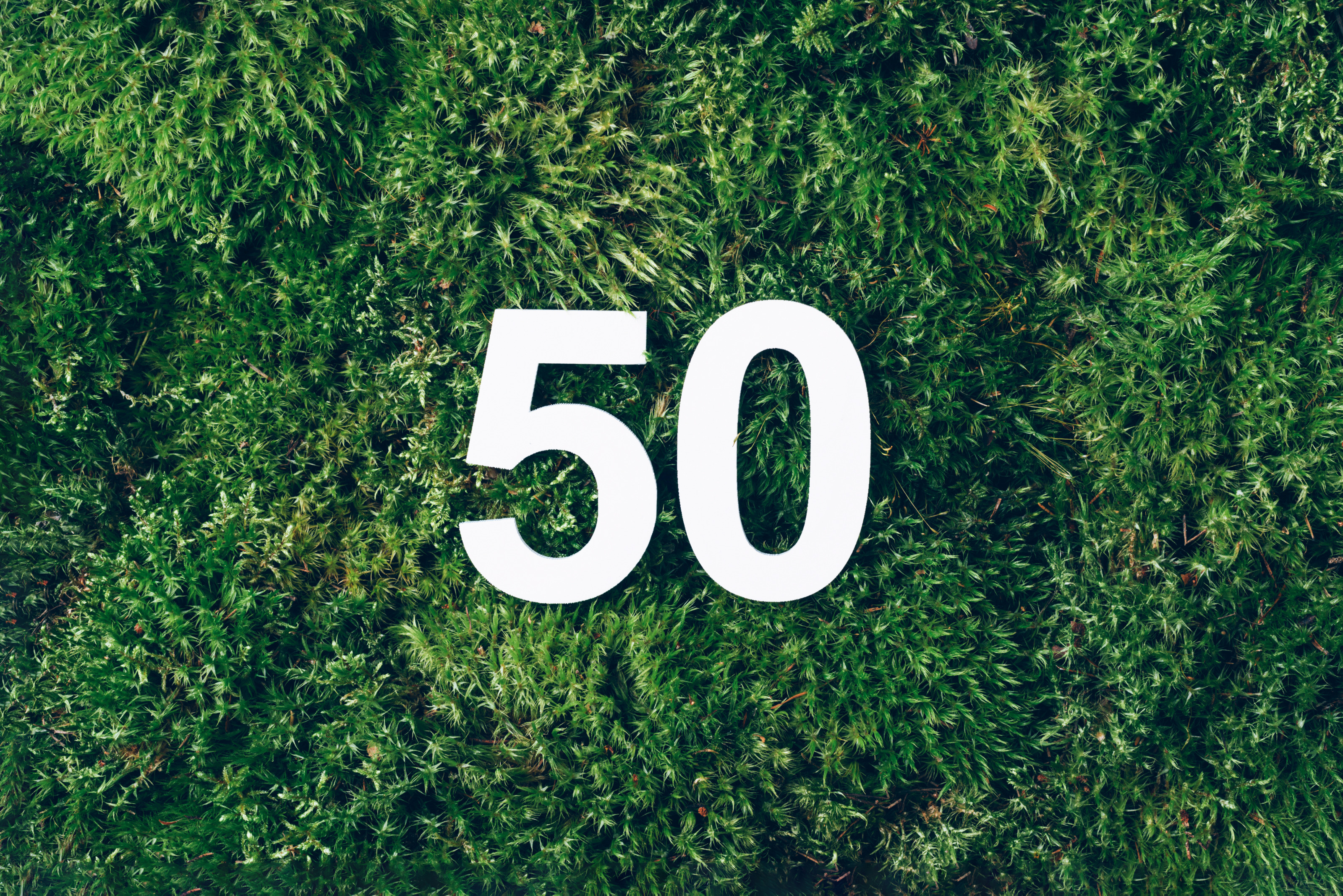 Wei&szlig;e Zahl 50 auf moosigem Untergrund platziert