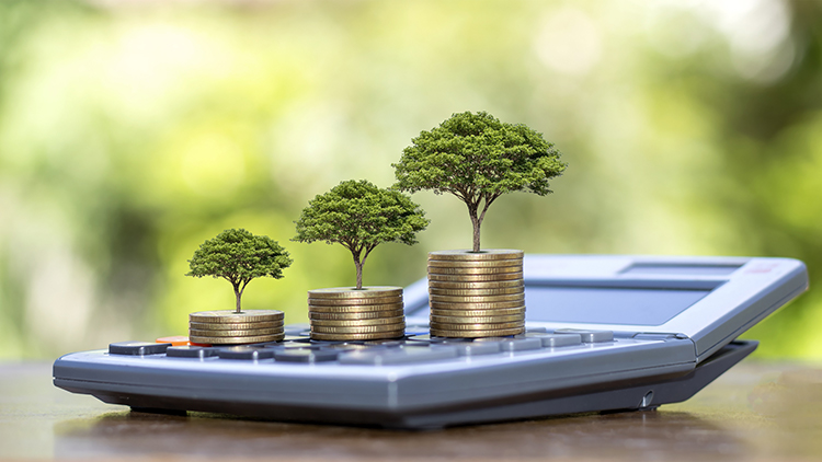 Umwelt und Energie, Umwelt, Nachhaltigkeit, nachhaltig, Natur, green, grün, Umweltschutz, Naturschutz, Öko, öko, Ökologie, ökologisch, nachhaltige Wirtschaft, nachhaltiges Wirtschaften, Zukunft, Mutter Erde, Ökoplan, Nachhaltigkeitsplan, Finanzierung, Förderung, Finanz, Münzen, Geld, Währung, finanzieren, fördern, Fördermittel, Baum, Bäume, Laubbaum, Laubbäume, Pflanze, Pflanzen