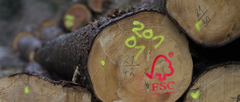 Holzst&auml;mme