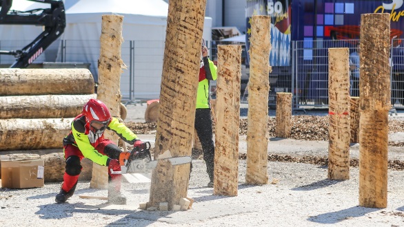             Internationale Holzmesse Klagenfurt