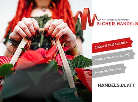 Handelsblatt 04 2025