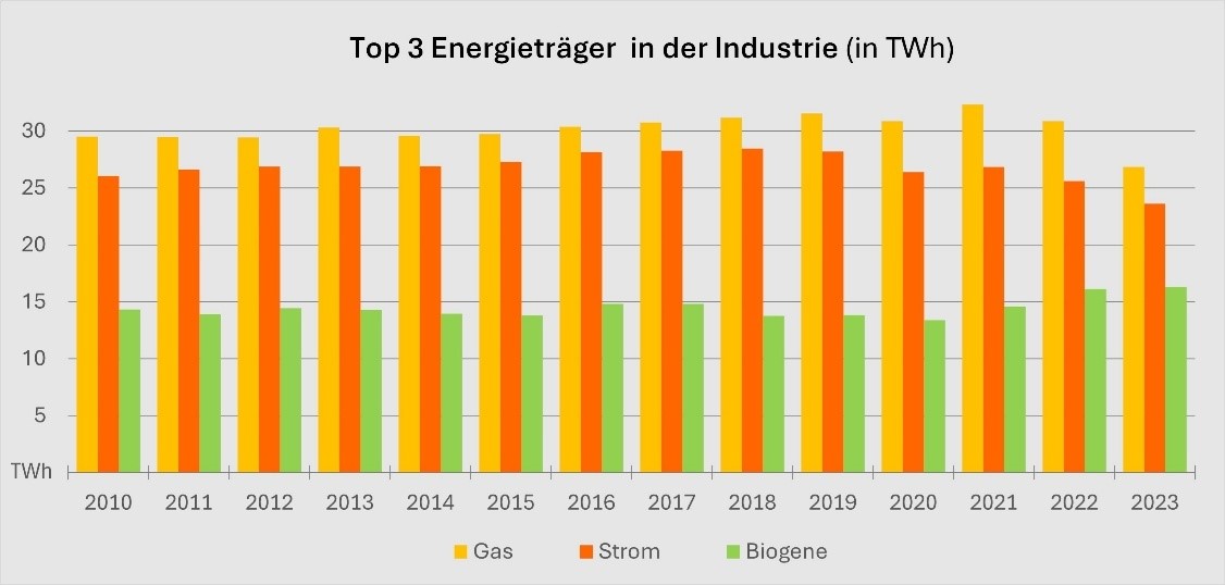 Grafik: Energietr&auml;gereinsatz in der Industrie