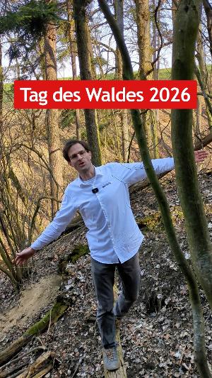 Tag des Waldes