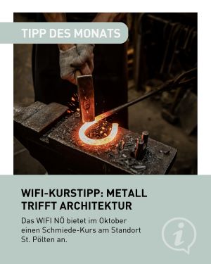 WIFI-Kurstipp