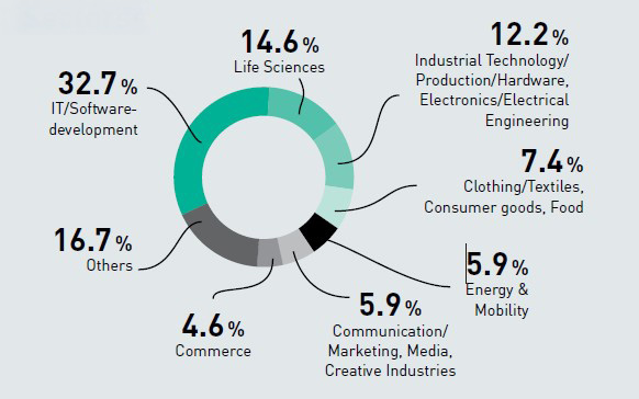 Ringdiagramm zu den Branchen, in denen Startups gegründet werden, mit den Bezeichnungen der Sektoren in englischer Sprache