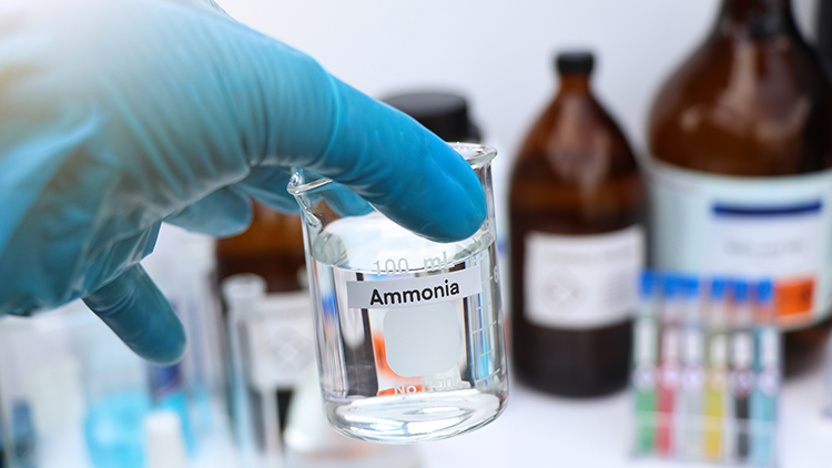 Detailansicht Hand mit blauem Gummihandschuh Ammoniakgefäß haltend