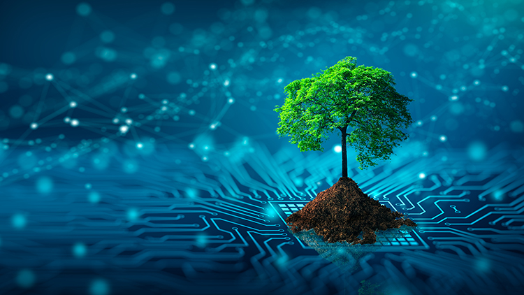 Baum aus Platine wachsend