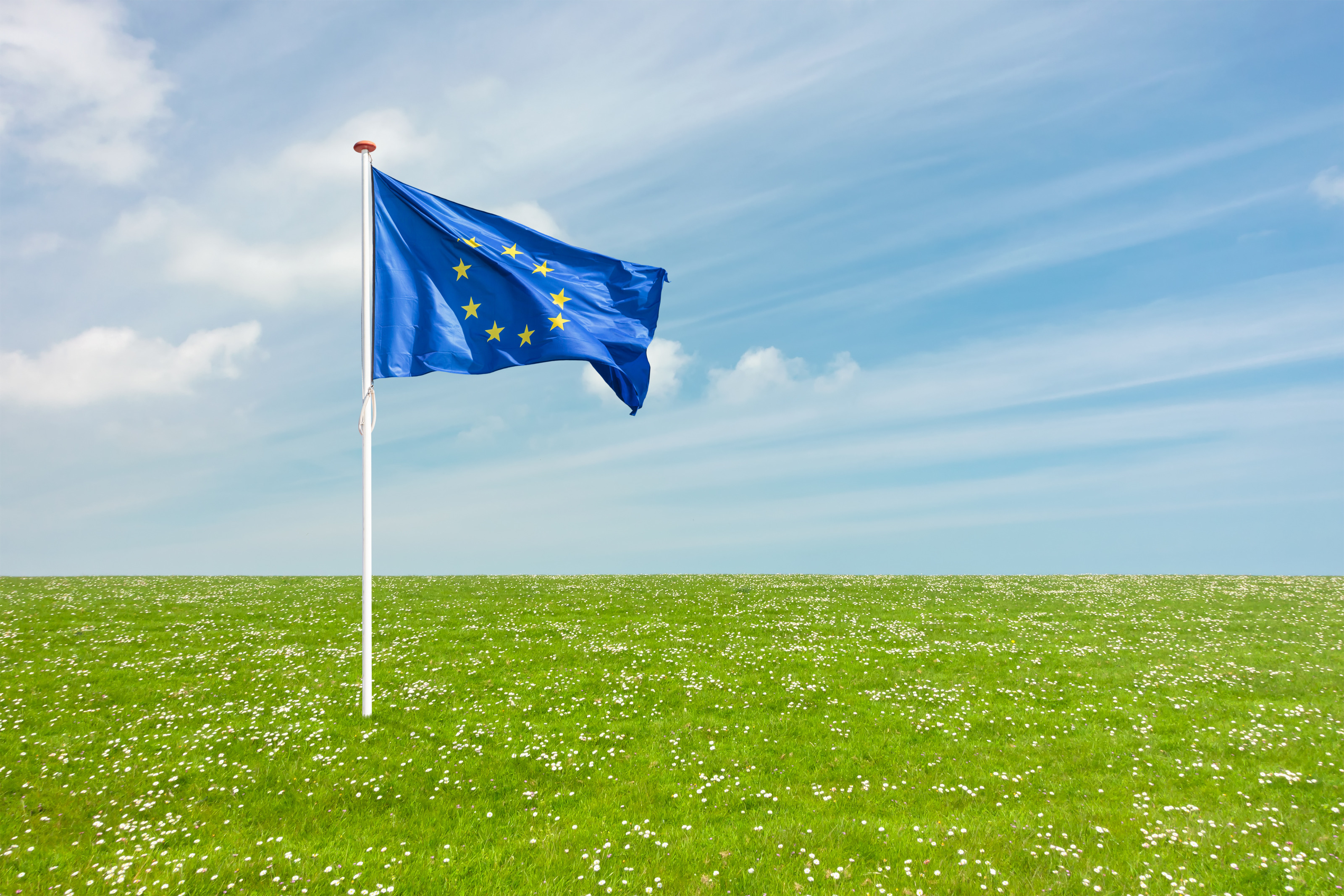 In einer gr&uuml;nen Wiese mit kleinen Blumen steckt eine Fahnenstange mit der Flagge der Europ&auml;ischen Union. Dahinter ist blauer, leicht bedeckter Himmel