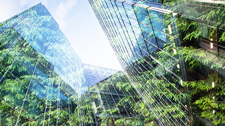 Begrünte Fassade eines modernen Gebäudes