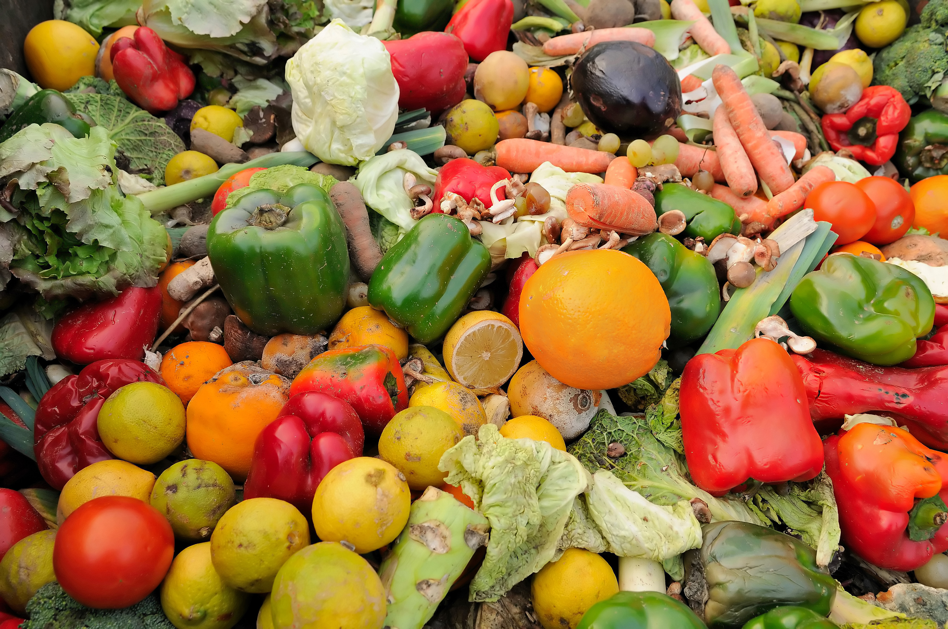 Nahaufnahme eines gro&szlig;en Haufens an verfaultem Gem&uuml;se, zum Beispiel Paprika, Salat, Zitronen, Karotten