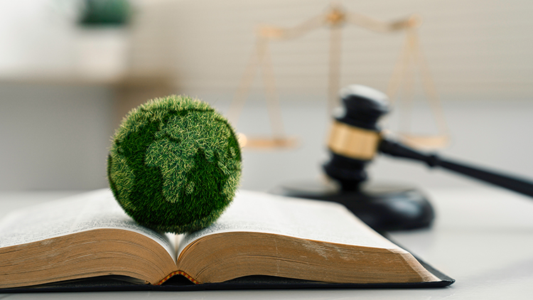 Begraste Weltkugel liegt auf aufgeschlagenem Buch, im Hintergrund verschwommen Richterhammer und goldene Waage