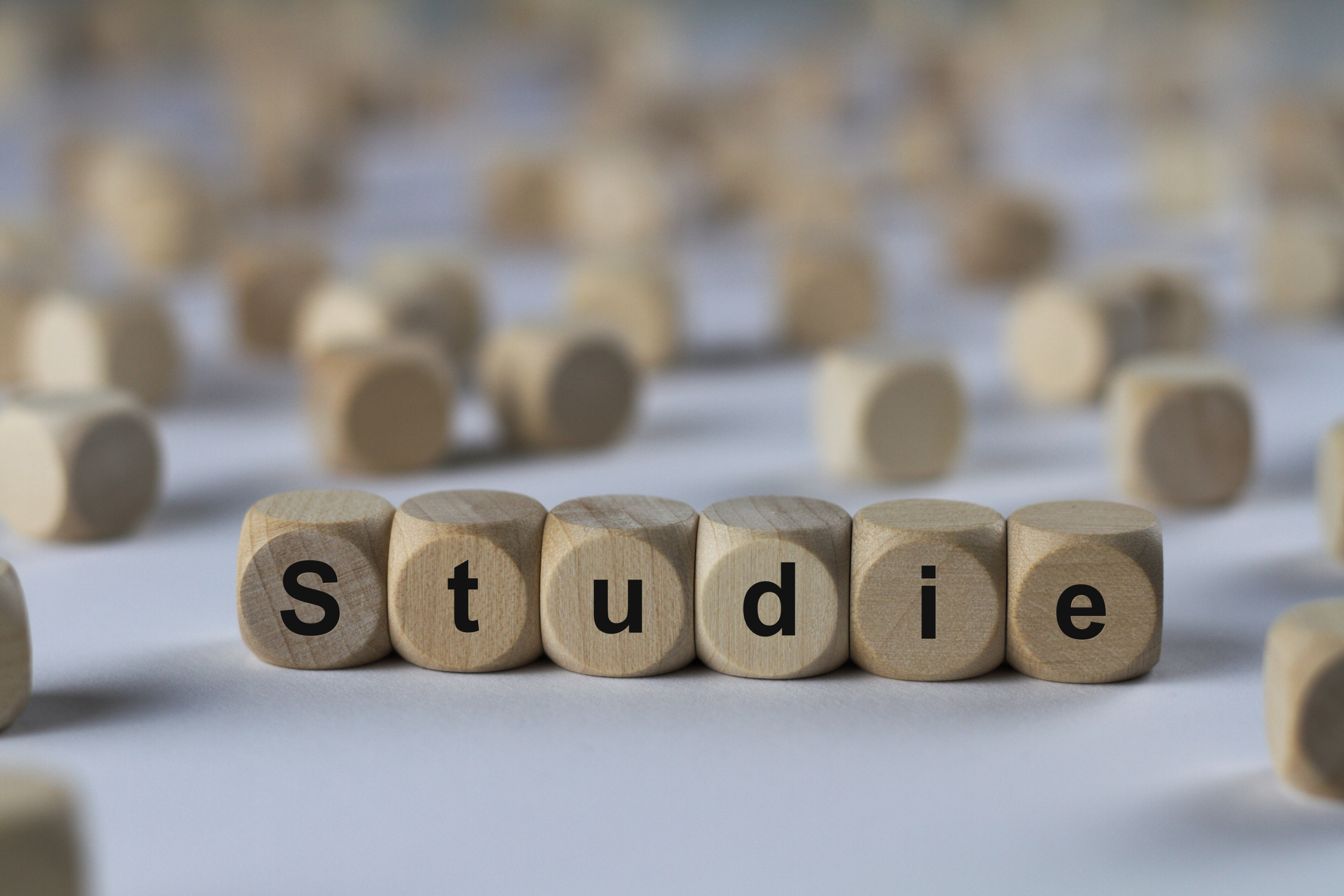Nebeneinanderliegende Holzw&uuml;rfel, die das Wort Studie bilden.