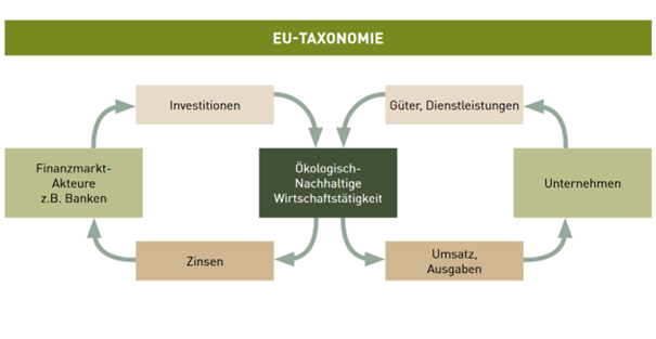 Grafische Abbildung der Verbindung von Finanz- und Realwirtschaft im Rahmen der EU-Taxonomie: Kästchen mit Pfeilen verbunden