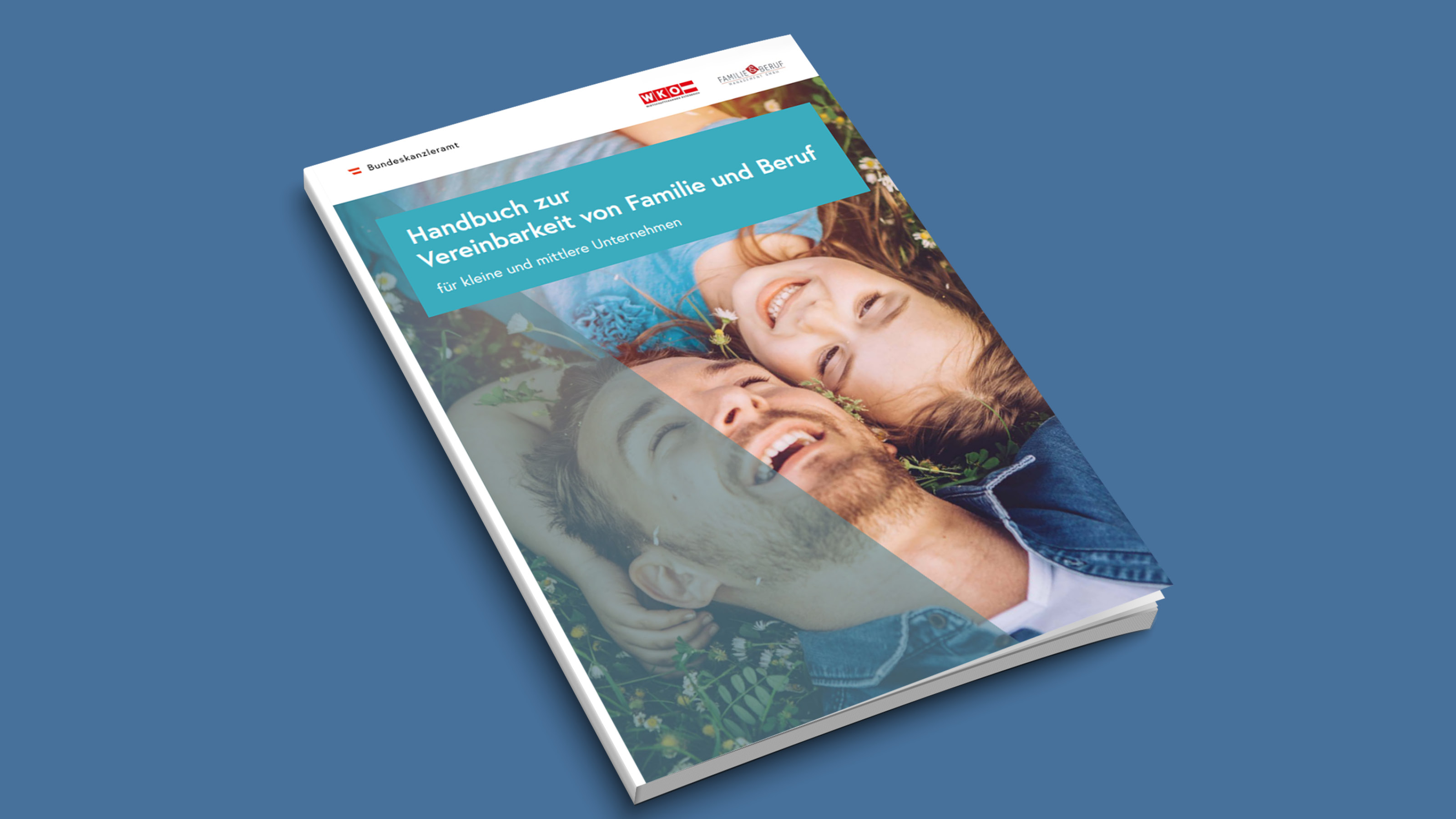 Aufnahme einer erwachsenen Person und eines Kindes aus der Vogelperspektive, die auf einer Wiese liegen. Darüber steht Handbuch zur Vereinbarkeit von Familie und Beruf