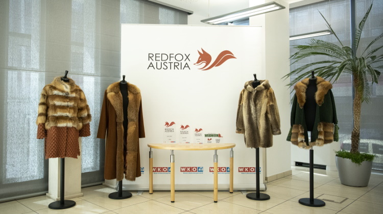 Preisverleihung Red Fox Austria 2021