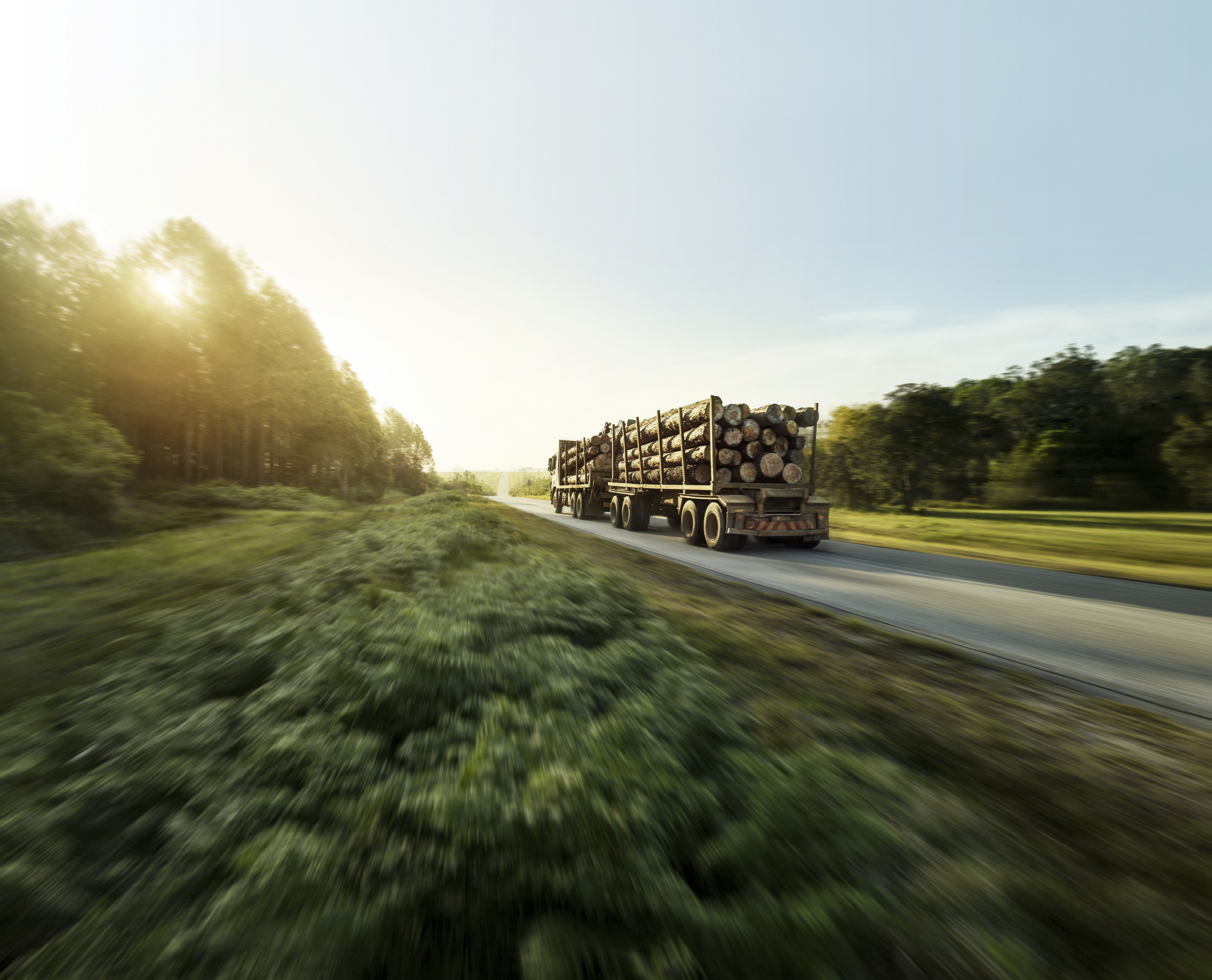 Naturlandschaft mit Wiesen und B&auml;umen in Bewegungsunsch&auml;rfe, in der Mitte Schwertransporter beladen mit Holzst&auml;mmen auf Stra&szlig;e fahrend