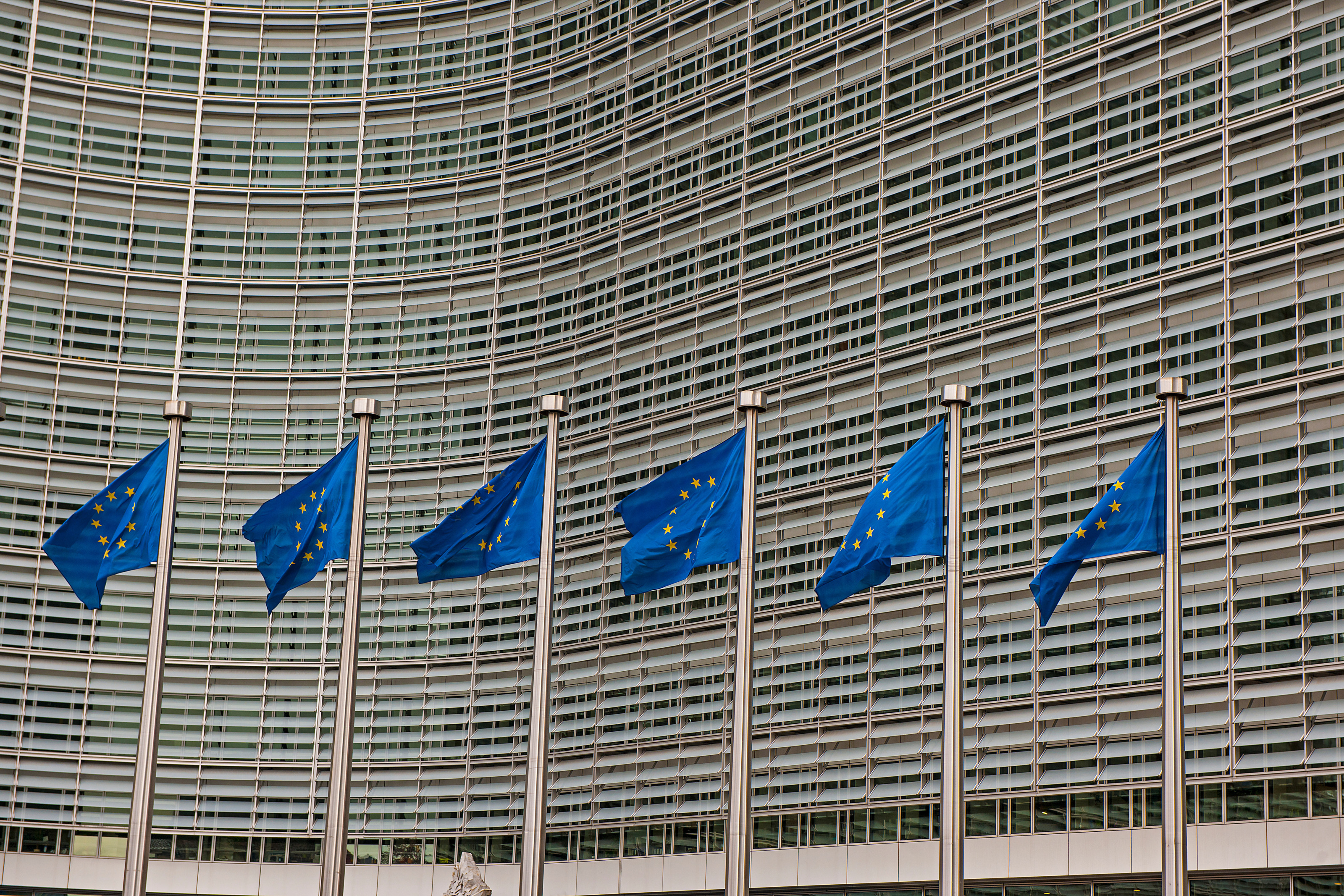 Junge Wirtschaft: "EU Inc." a first step to keep startups in Europe – without a strong capital market the potential remains untapped