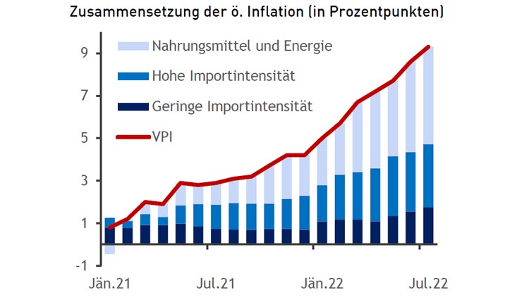Infodiagramm zur Inflation: Erklärung im Text