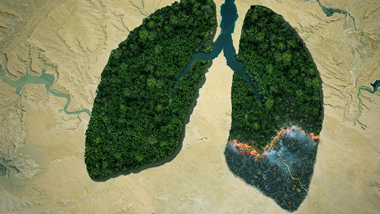 Lufansicht eines Waldes in Form einer Lunge, die am unteren Ende brennt