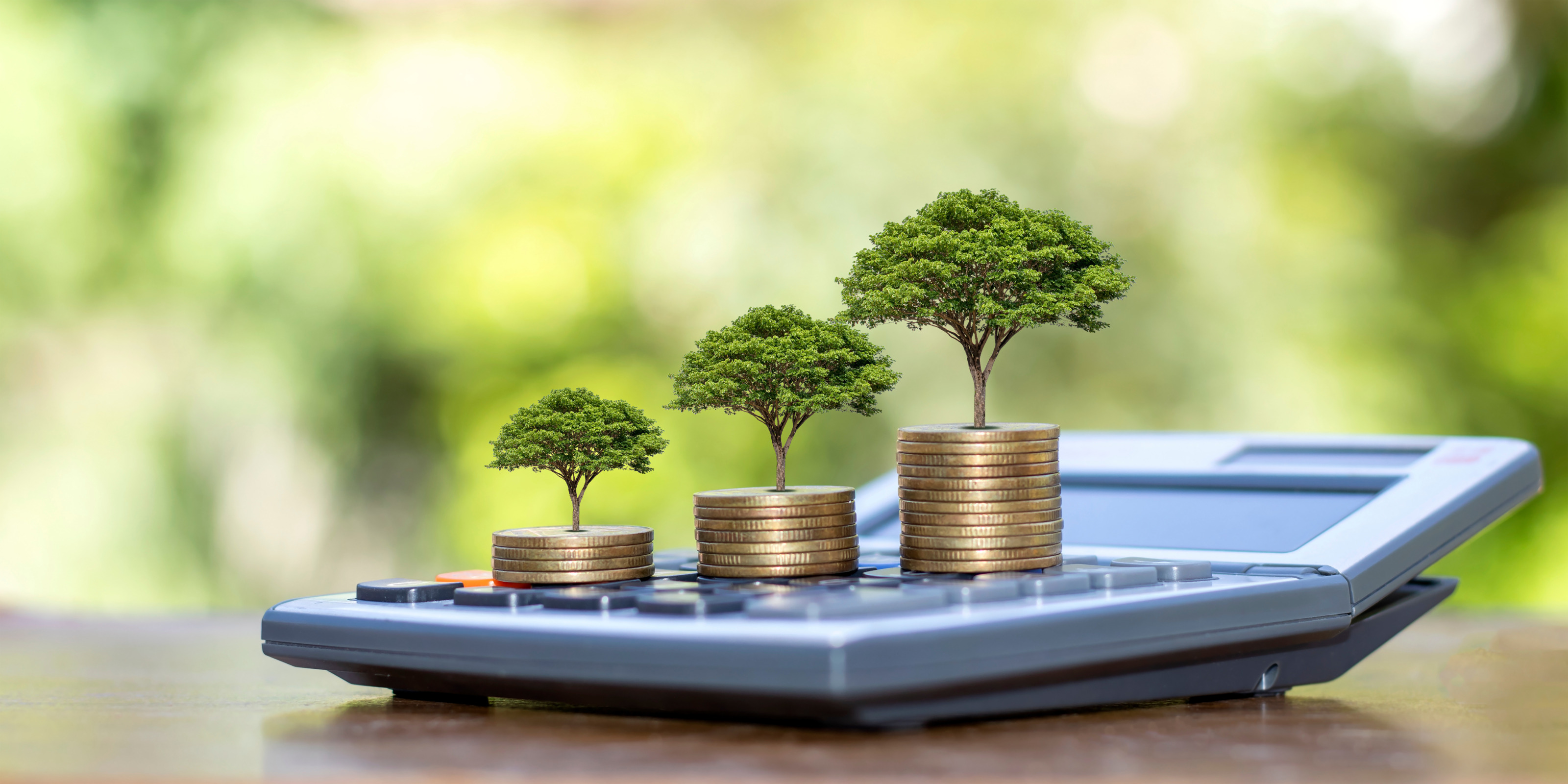 Drei kleine B&auml;ume aus M&uuml;nzt&uuml;rmchen erwachsend auf Taschenrechner platziert