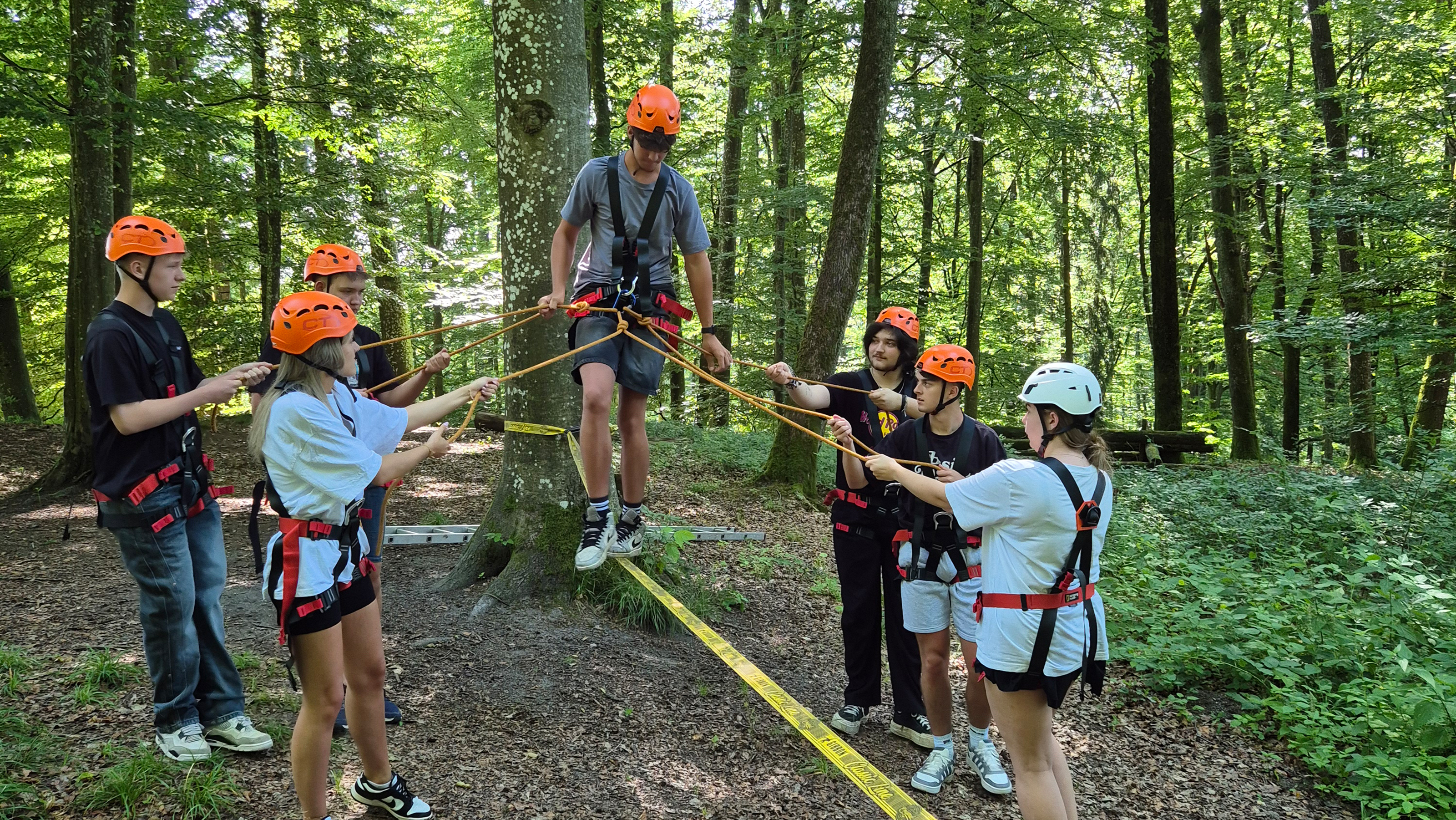 Land Oberösterreich