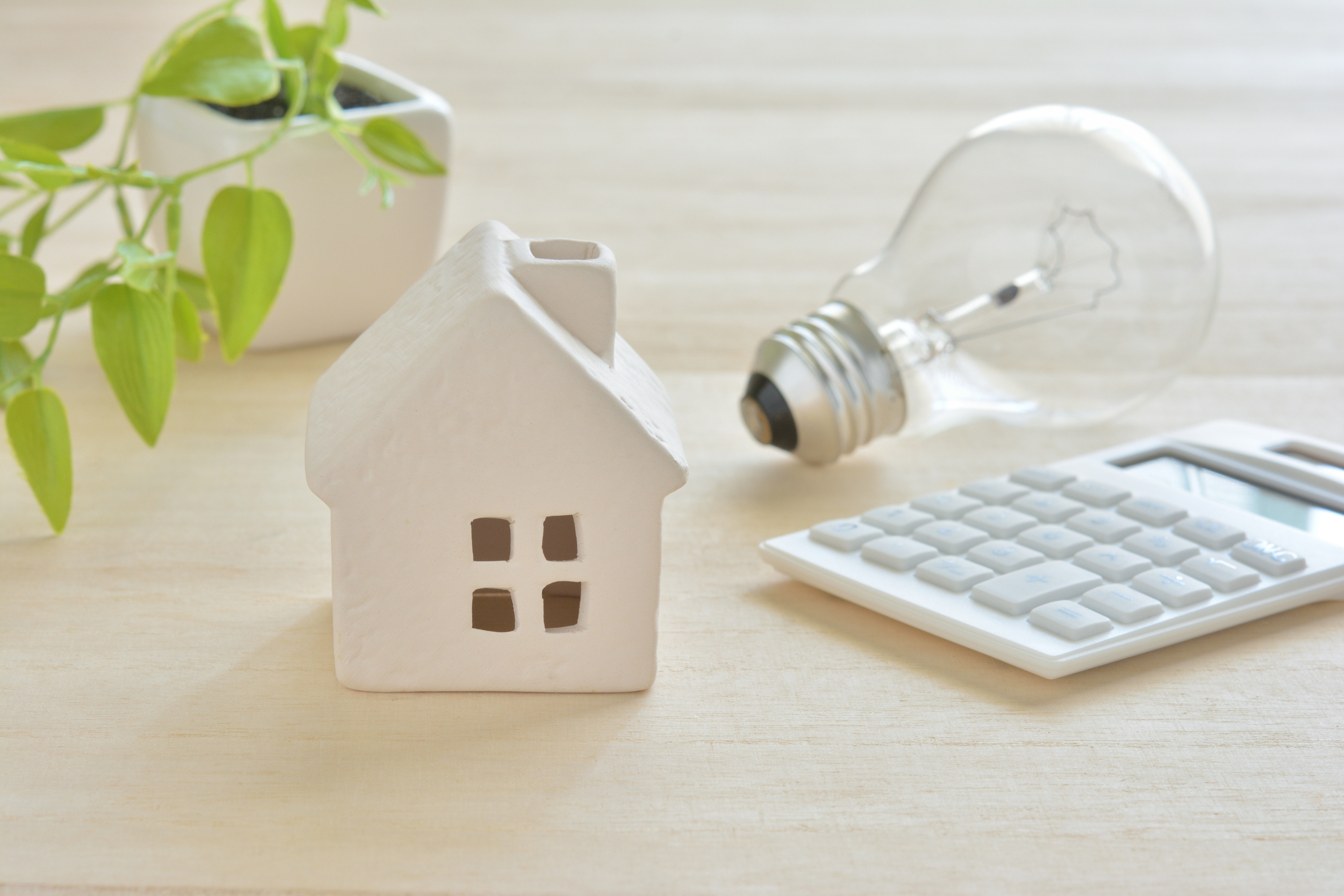 Wei&szlig;es Keramikh&auml;uschen mit Gl&uuml;hbirne, Taschenrechner und Zierpflanze auf Holztisch