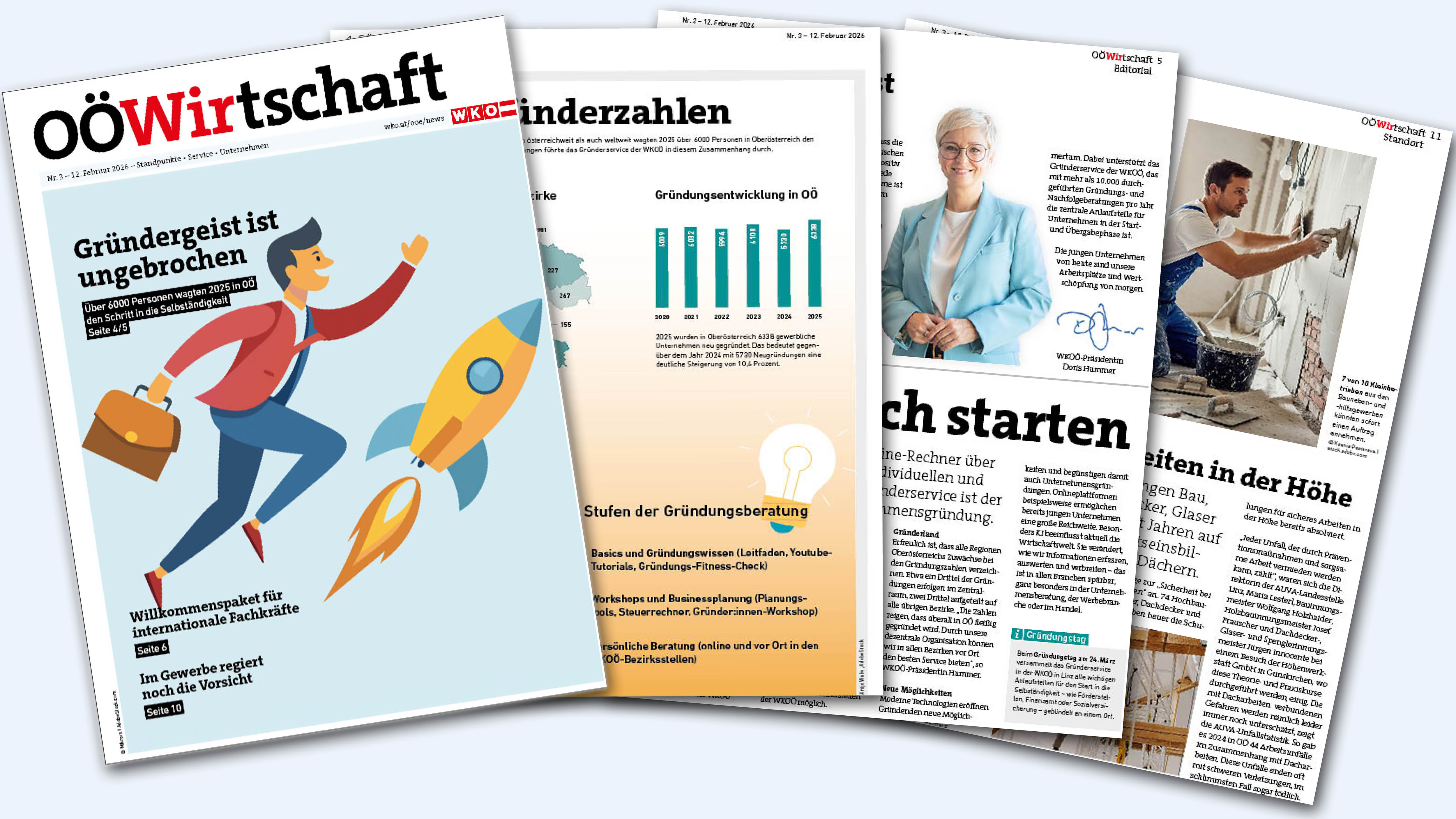 O&Ouml;W F&auml;cher 0326