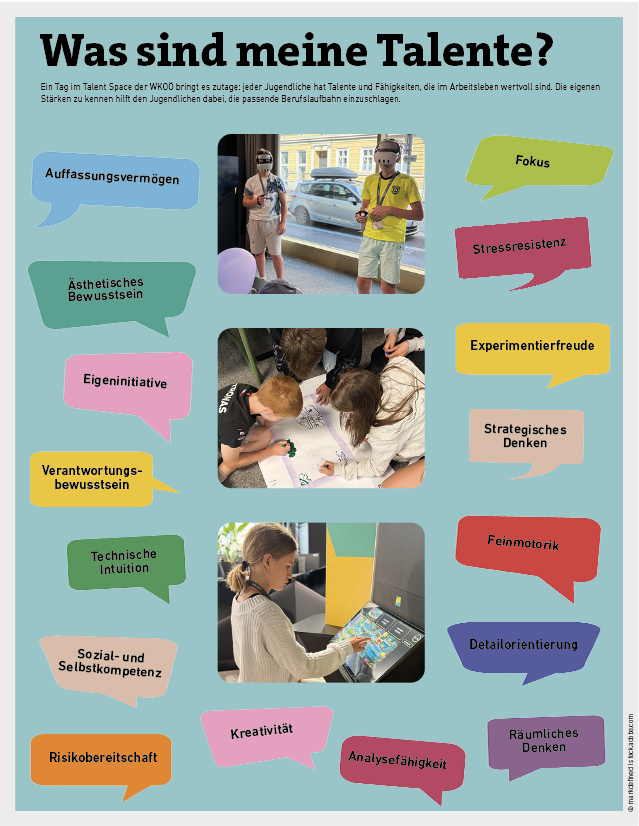 Wirtschaftsgrafik Talent Space O&Ouml;W1726