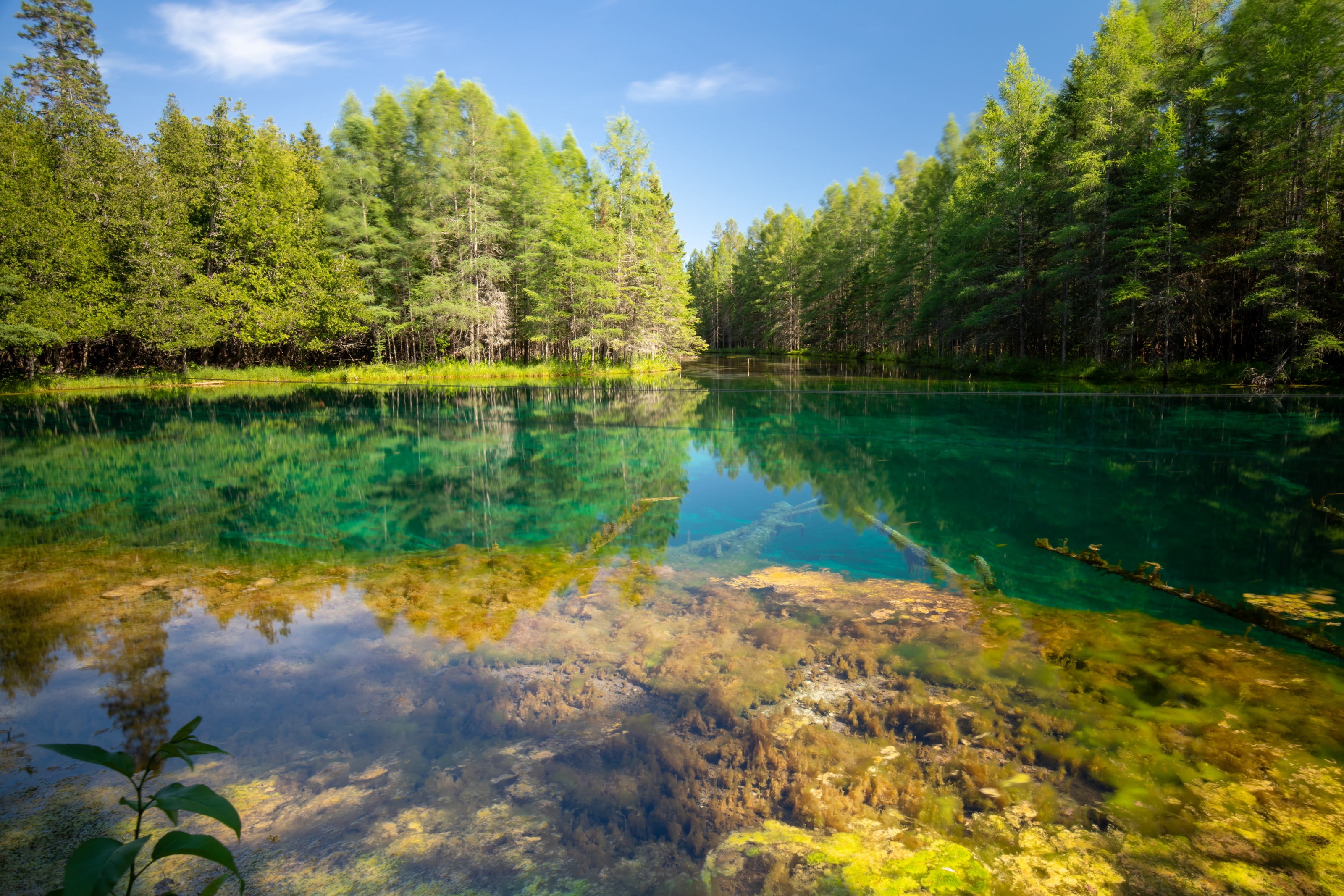 Ein transparentes Gew&auml;sser ist umrahmt von gr&uuml;nen B&auml;umen am Ufer. Im Wasser sind Steine und &Auml;ste. Der Himmel ist blau mit einzelnen Wolken.