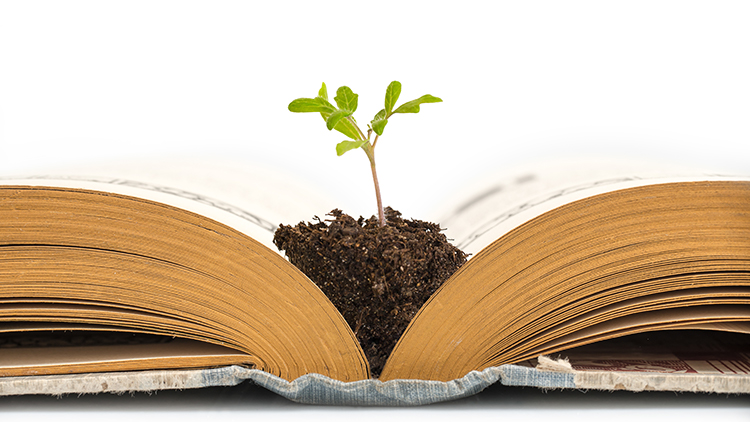 Umwelt und Energie, Umwelt, Nachhaltigkeit, nachhaltig, Natur, green, gr&uuml;n, Umweltschutz, Naturschutz, &Ouml;ko, &ouml;ko, &Ouml;kologie, &ouml;kologisch, nachhaltige Wirtschaft, nachhaltiges Wirtschaften, Zukunft, Mutter Erde, Buch, B&uuml;cher, Pflanze, Pflanzen, Flora, pflanzen, Keimling, Keim, Spross, Spr&ouml;ssling, sprossen, keimen, wachsen, gedeihen, Pfl&auml;nzchen, Erde