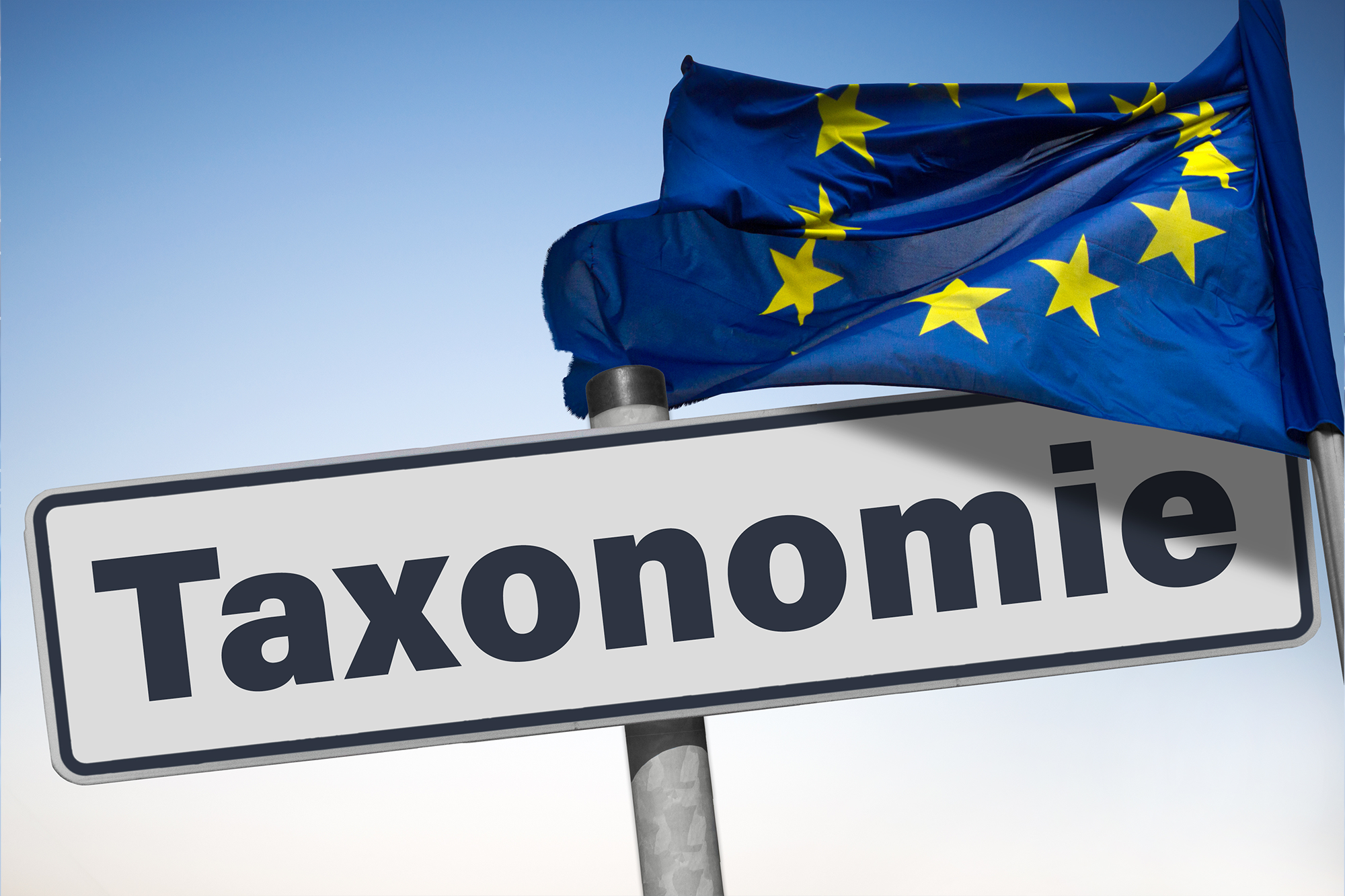 Taxonomie, Europäische Fahne