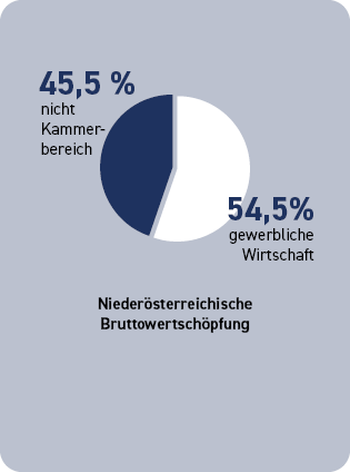 Nieder&ouml;sterreichische Bruttowertsch&ouml;pfung <br />
54,5% gewerbliche Wirtschaft<br />
45,5 % nicht Kammerbereich