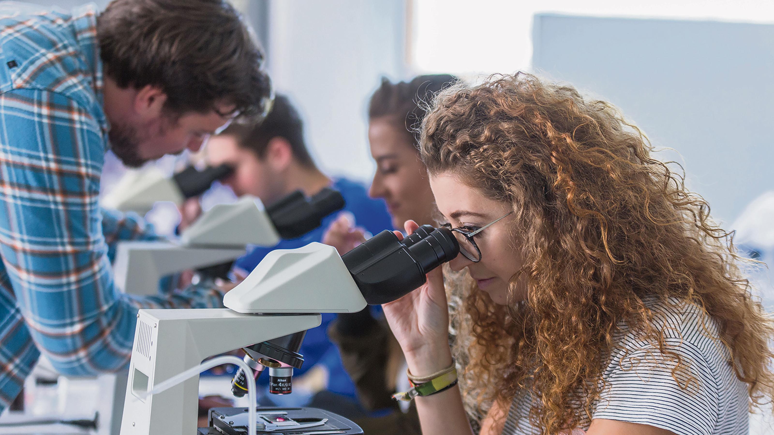 FH Salzburg/wildbild