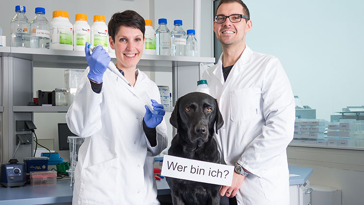 Anja und Michael Geretschläger stellen nicht nur die Rassen eines Mischlings fest. Sie können mit ihren DNA-Analysen auch bis zu 250 genetische Erkrankungen bei Hunden nachweisen.