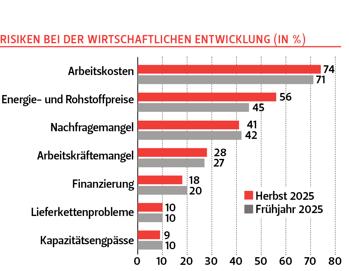 Größte Hemmnisse sind hohe Arbeitskosten und Energiepreise.