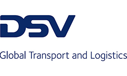 DSV-Logo