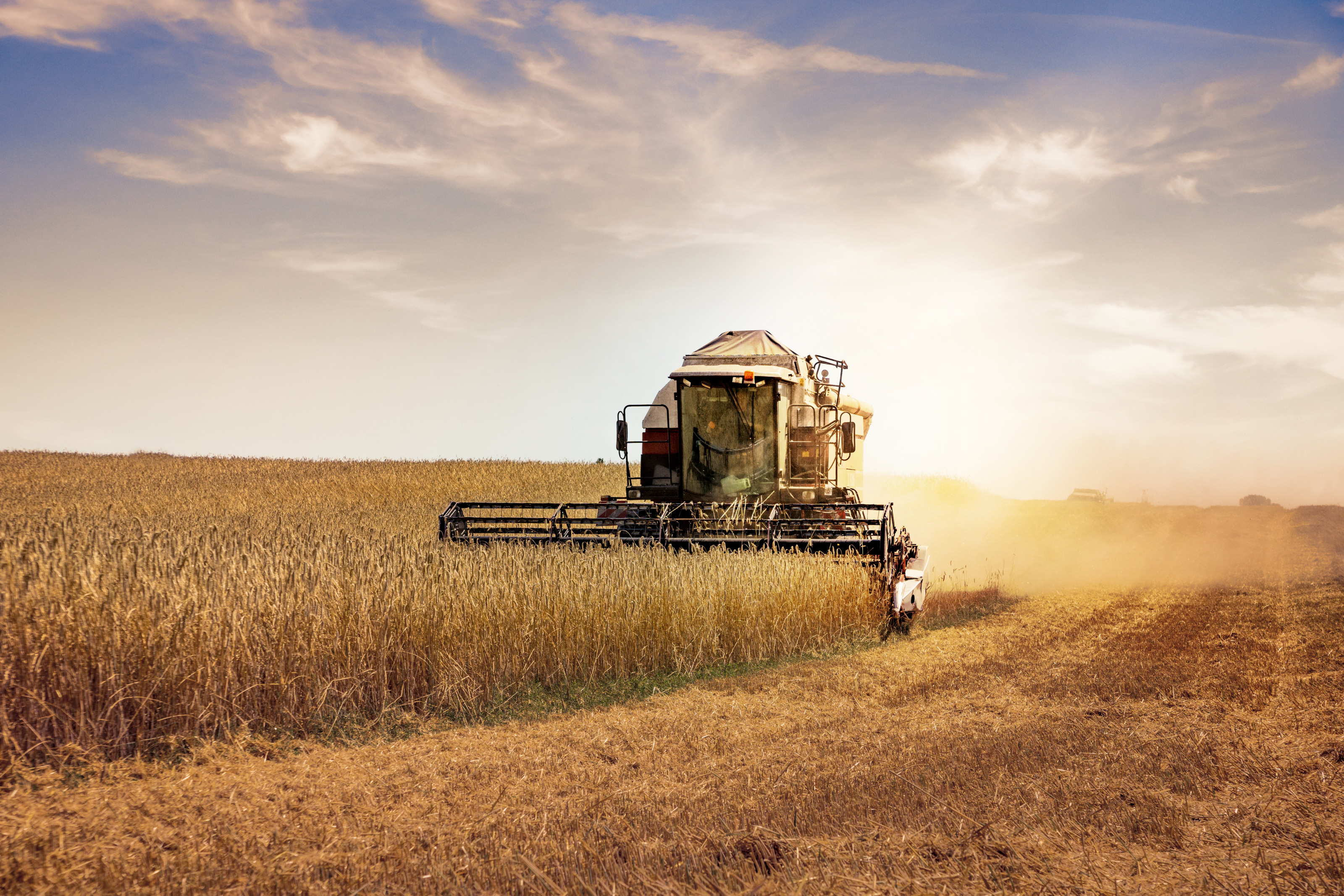 M&auml;hdrescher im Kornfeld erntet Getreide unter Himmel mit Wolken