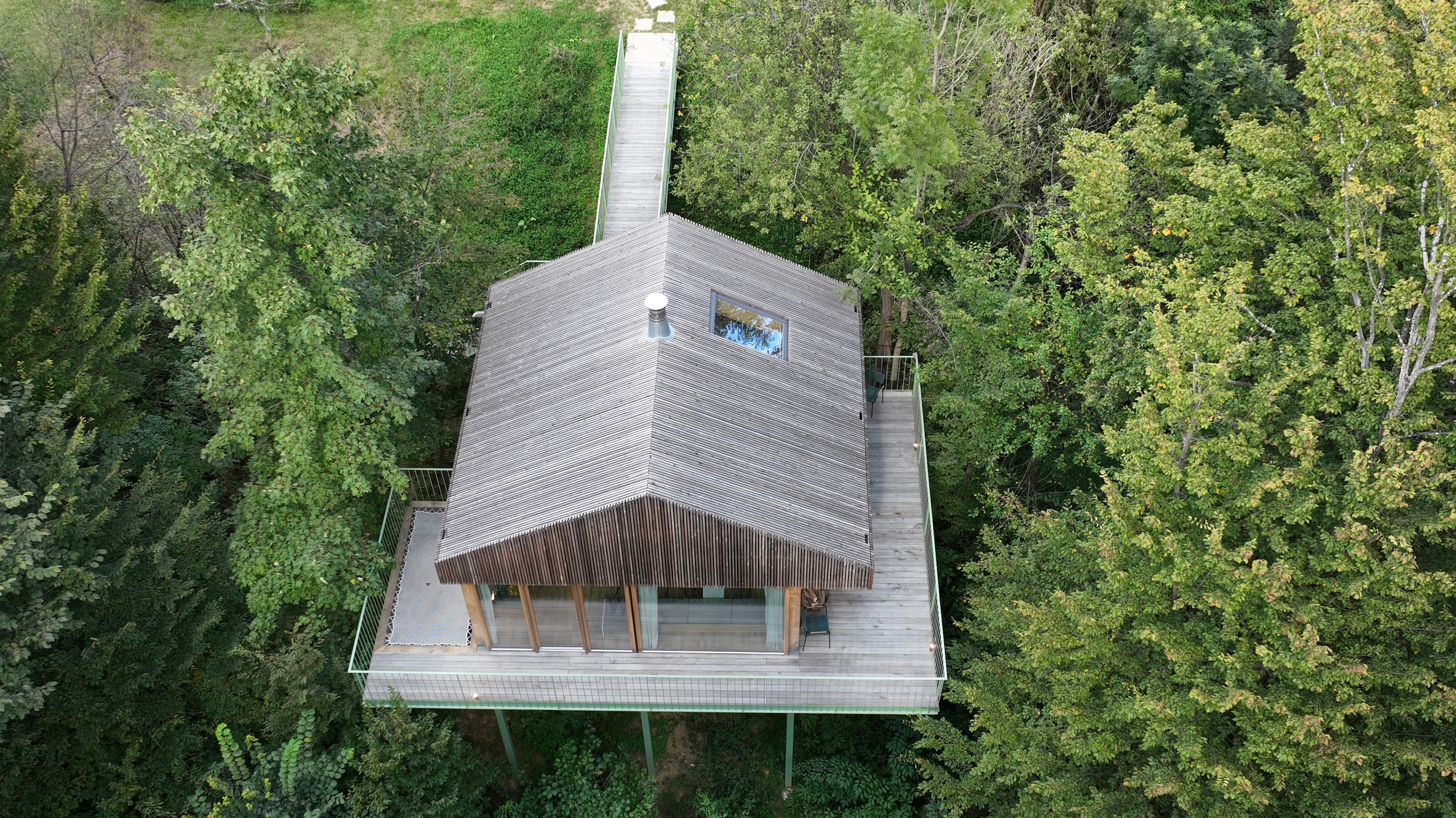 das Baumhaus