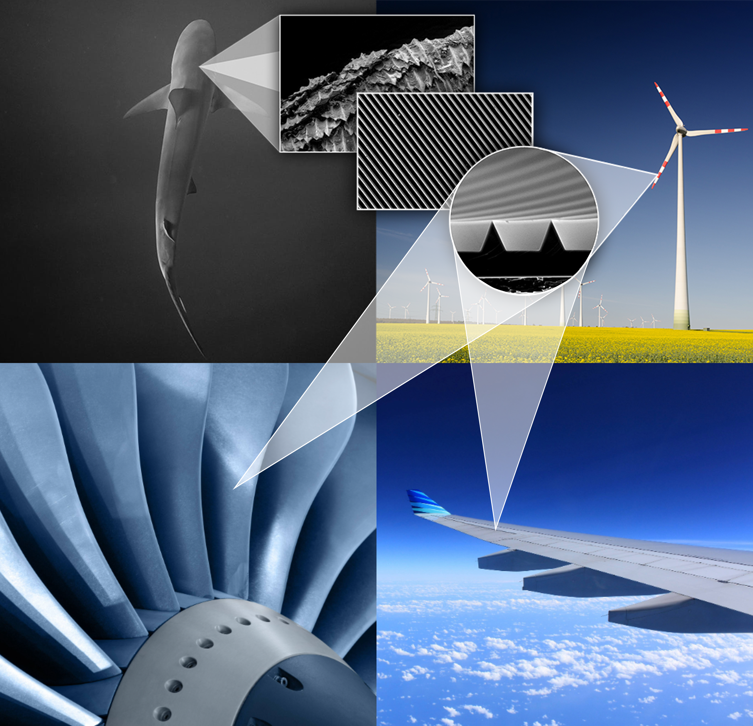 Virgeteiltes Bild: Haifisch links oben, mit Zoom zu den Mikrostrukturen auf der Haut, daneben ein Windrad, darunter eine Turbine, rechts unten ein Flugzeug