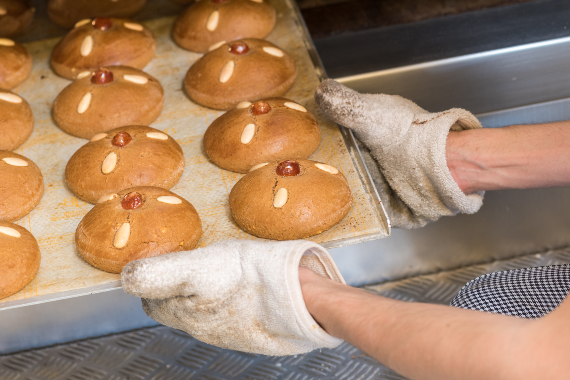 blick auf runde Lebkuchen mit N&uuml;ssen verziert auf einem Backblech. Eine Hand mit Handschuh nimmt sie aus dem Ofen.