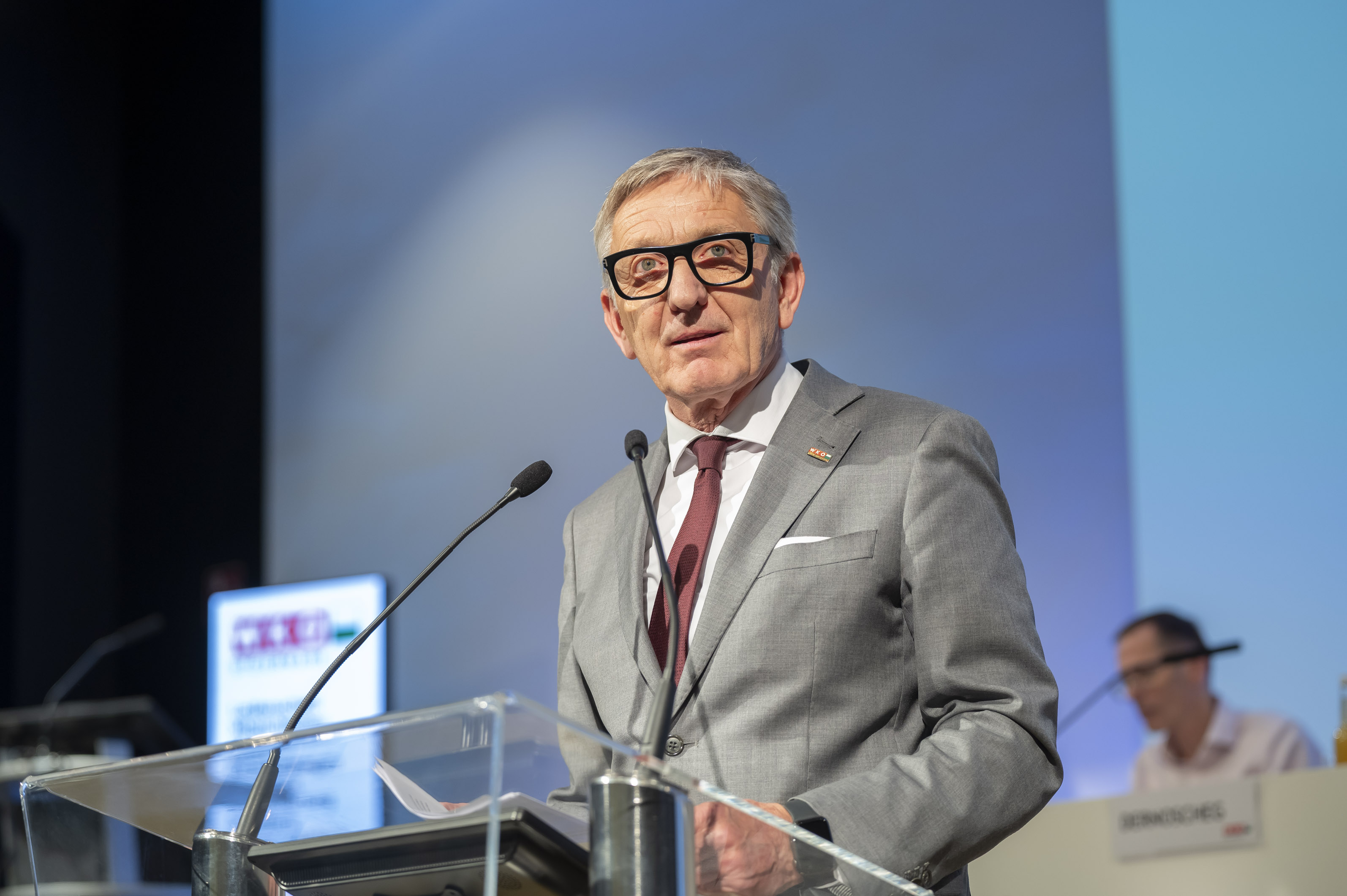 Josef Herk, Wirtschaftsparlament